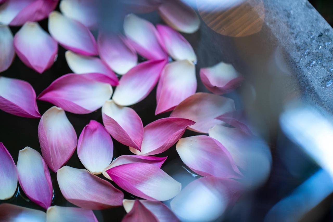 Shintana Saya La Maison Siem Reap Exterior foto Lotus petals